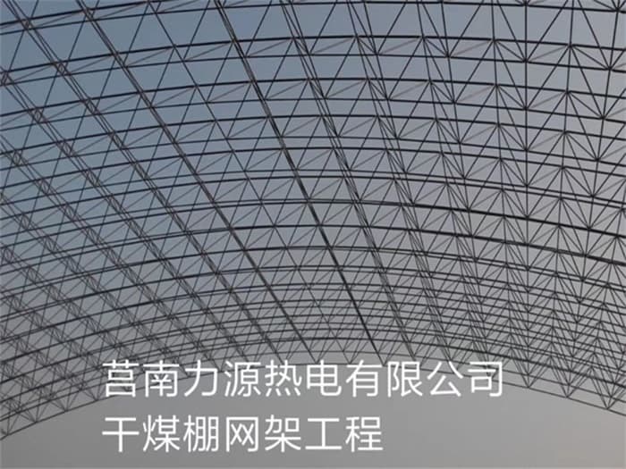漳州力源热电有限公司干煤棚网架工程